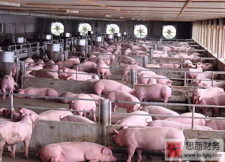 養(yǎng)殖營業(yè)執(zhí)照怎么辦理？（最新詳細申請流程）