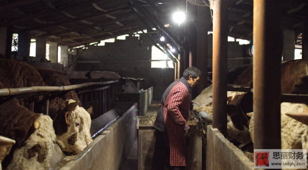 養(yǎng)殖營業(yè)執(zhí)照怎么辦理？（最新詳細申請流程）