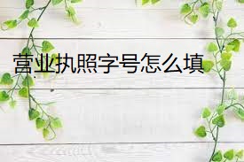 營業(yè)執(zhí)照字號怎么填？（最新填寫方法）