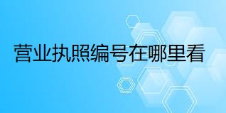 營業(yè)執(zhí)照編號在哪里看？（最新查詢方法）