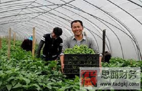 家庭農(nóng)場營業(yè)執(zhí)照辦理(詳細(xì)辦理?xiàng)l件和流程)