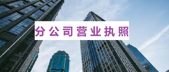 分公司營業(yè)執(zhí)照怎么辦理？（最新詳細(xì)注冊流程）