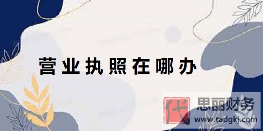 營業(yè)執(zhí)照在哪辦理？（詳細(xì)辦理流程分享）