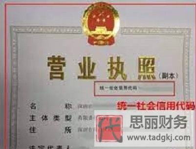 營業(yè)執(zhí)照代碼查詢系統(tǒng)(2023詳細查詢流程)