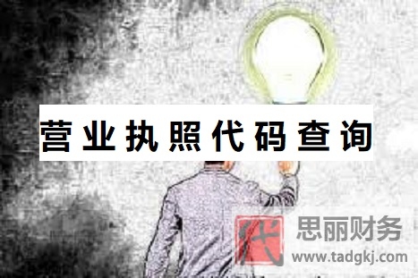 營業(yè)執(zhí)照代碼查詢系統(tǒng)(2023詳細查詢流程)
