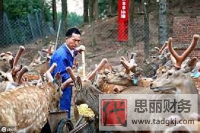 個(gè)體養(yǎng)殖戶營(yíng)業(yè)執(zhí)照怎么辦理？（詳細(xì)注冊(cè)流程）