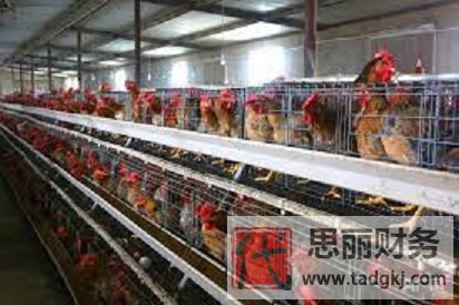 個(gè)體養(yǎng)殖戶營(yíng)業(yè)執(zhí)照怎么辦理？（詳細(xì)注冊(cè)流程）