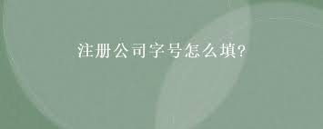 注冊公司字號怎么填？（正確填寫方法分享）