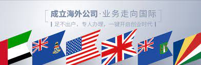 海外公司如何注冊(cè)？（2025年詳細(xì)申請(qǐng)流程）
