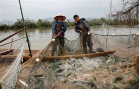 個(gè)人養(yǎng)殖公司怎么注冊(cè)？（詳細(xì)申請(qǐng)流程）