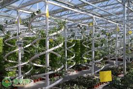 農(nóng)業(yè)科技公司注冊經(jīng)營范圍（最新經(jīng)營范圍大全）