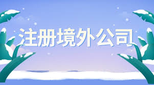 怎么在境外注冊公司？（跨國公司申請流程）