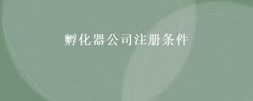 孵化器公司注冊條件是什么？