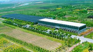 生態(tài)農(nóng)業(yè)公司注冊條件有哪些？