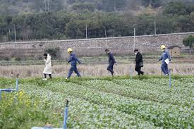 生態(tài)農(nóng)業(yè)公司注冊條件有哪些？