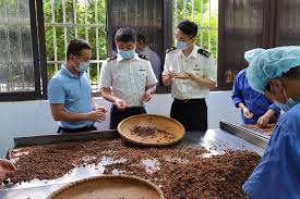 個人如何注冊中藥材公司？（中藥材公司申請必備條件）