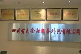 金融服務(wù)外包公司注冊條件(金融公司申請(qǐng)條件)