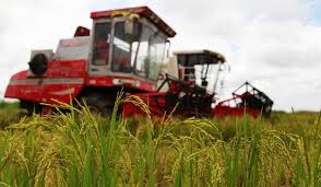 農(nóng)業(yè)發(fā)展有限公司注冊條件是什么？