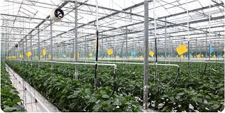 農(nóng)業(yè)發(fā)展有限公司注冊條件是什么？