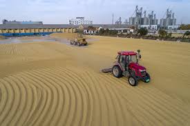 農(nóng)業(yè)發(fā)展有限公司注冊條件是什么？