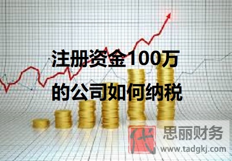 注冊(cè)資金100萬(wàn)的公司如何納稅？