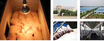 養(yǎng)殖公司怎么注冊？（最詳細(xì)申請流程分享）