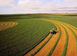 農(nóng)業(yè)注冊公司的名字大全(好聽名字整理分享)