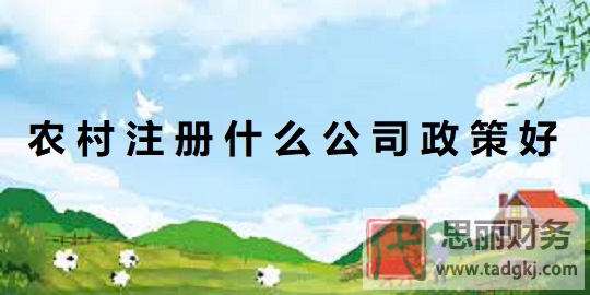 農(nóng)村注冊(cè)什么公司政策好？