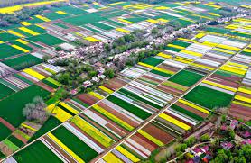 農(nóng)村注冊(cè)什么公司政策好？