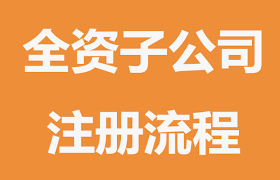 全資子公司注冊流程(2025年申請步驟)