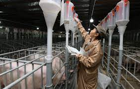 注冊養(yǎng)殖公司需要多少資金?