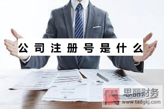 公司注冊號是什么？（注冊號詳細介紹）