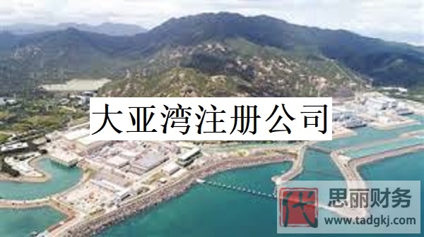 大亞灣怎么注冊公司？(2024年最新申請流程)