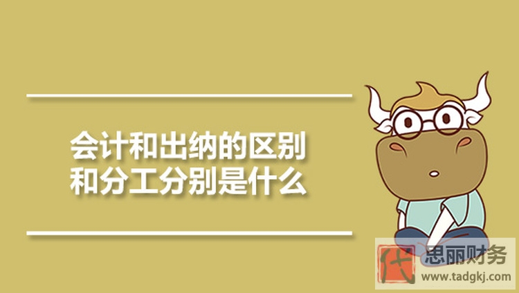 出納跟代理記賬哪個(gè)好？（出納和會(huì)計(jì)的區(qū)別）