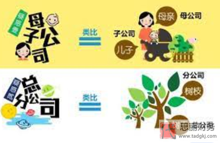 分公司法人可以變更嗎？（分公司與子公司區(qū)別）