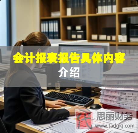 會計報表報告具體內(nèi)容介紹