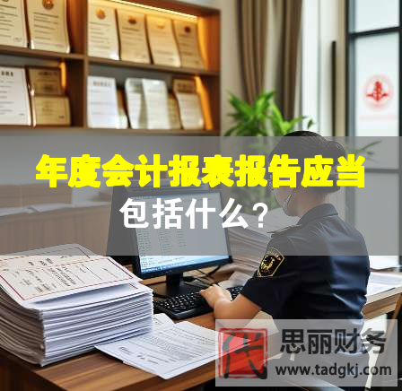 年度會計報表報告應當包括什么？
