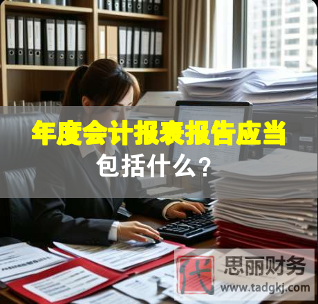 年度會計報表報告應當包括什么？