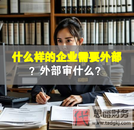 什么樣的企業(yè)需要外部？外部審什么？