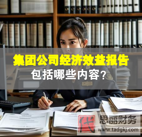 集團(tuán)公司經(jīng)濟(jì)效益報(bào)告包括哪些內(nèi)容？