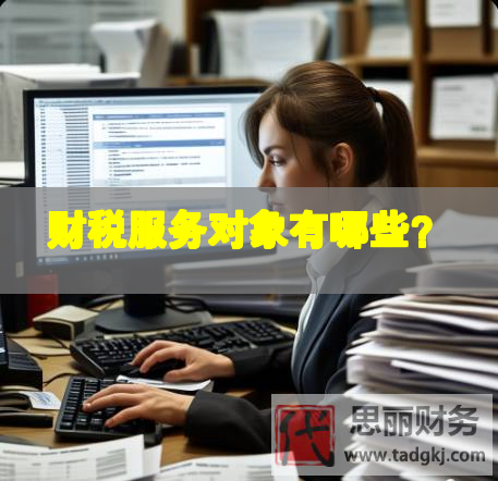 財(cái)稅服務(wù)對(duì)象有哪些？
