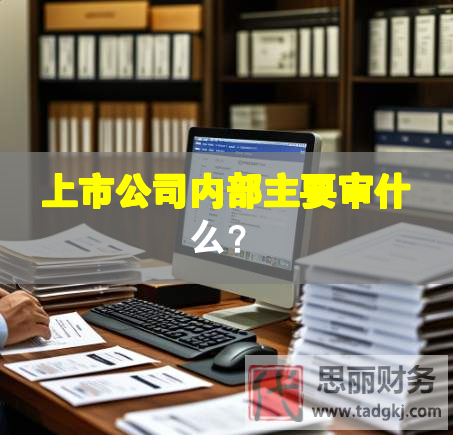 上市公司內(nèi)部主要審什么？