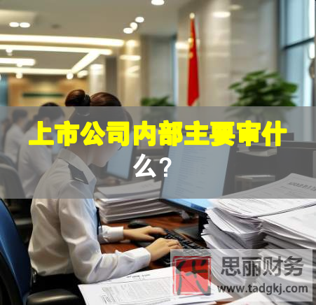 上市公司內(nèi)部主要審什么？