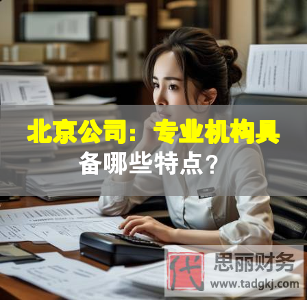 北京公司：專業(yè)機(jī)構(gòu)具備哪些特點(diǎn)？