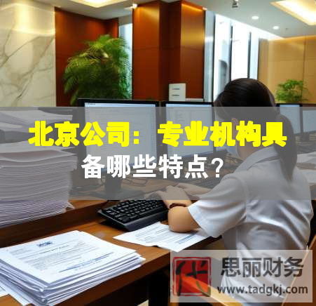 北京公司：專業(yè)機(jī)構(gòu)具備哪些特點(diǎn)？