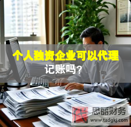 個人獨資企業(yè)可以代理記賬嗎？