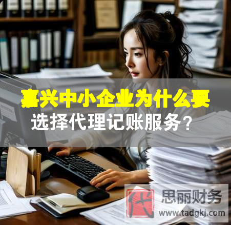 嘉興中小企業(yè)為什么要選擇代理記賬服務？