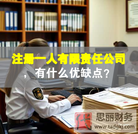注冊一人有限責任公司，有什么優(yōu)缺點？
