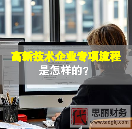 高新技術(shù)企業(yè)專項(xiàng)流程是怎樣的？