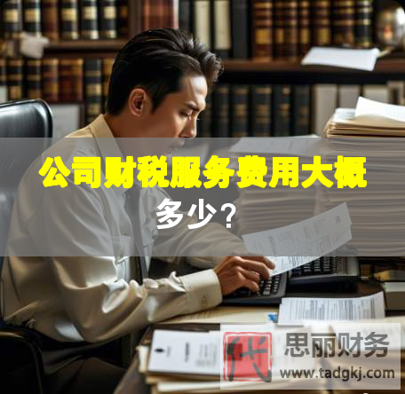 公司財稅服務(wù)費用大概多少？